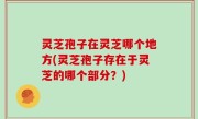 灵芝孢子在灵芝哪个地方(灵芝孢子存在于灵芝的哪个部分？)