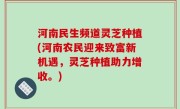 河南民生频道灵芝种植(河南农民迎来致富新机遇，灵芝种植助力增收。)
