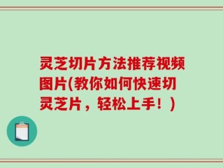 灵芝切片方法推荐视频图片(教你如何快速切灵芝片，轻松上手！)