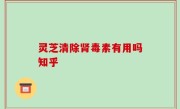 灵芝清除肾毒素有用吗知乎