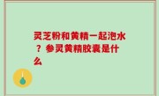 灵芝粉和黄精一起泡水 ？参灵黄精胶囊是什么