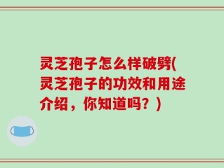 灵芝孢子怎么样破劈(灵芝孢子的功效和用途介绍，你知道吗？)