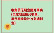 收集灵芝烟盒图片真实(灵芝烟盒图片收集，展示精美设计与高端制造)