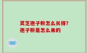 灵芝孢子粉怎么长得？孢子粉是怎么来的