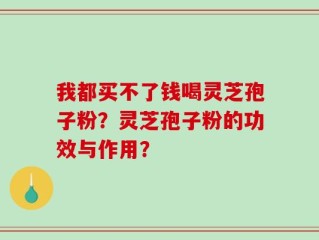 我都买不了钱喝灵芝孢子粉？灵芝孢子粉的功效与作用？