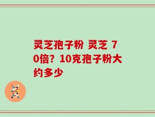 灵芝孢子粉 灵芝 70倍？10克孢子粉大约多少