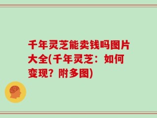 千年灵芝能卖钱吗图片大全(千年灵芝：如何变现？附多图)