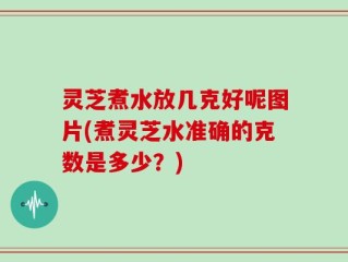灵芝煮水放几克好呢图片(煮灵芝水准确的克数是多少？)