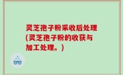 灵芝孢子粉采收后处理(灵芝孢子粉的收获与加工处理。)