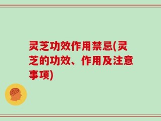灵芝功效作用禁忌(灵芝的功效、作用及注意事项)