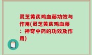 灵芝黄芪鸡血藤功效与作用(灵芝黄芪鸡血藤：神奇中药的功效及作用)