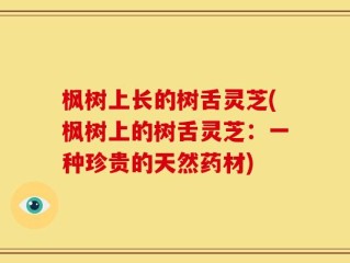 枫树上长的树舌灵芝(枫树上的树舌灵芝：一种珍贵的天然药材)
