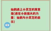 仙鹤遇上小灵芝的寓意是(遇见小而强大的力量：仙鹤与小灵芝的启示)