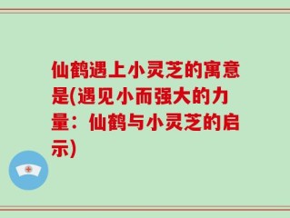 仙鹤遇上小灵芝的寓意是(遇见小而强大的力量：仙鹤与小灵芝的启示)