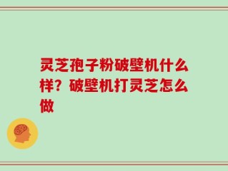 灵芝孢子粉破壁机什么样？破壁机打灵芝怎么做