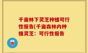 千亩林下灵芝种植可行性报告(千亩森林内种植灵芝：可行性报告