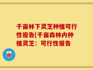 千亩林下灵芝种植可行性报告(千亩森林内种植灵芝：可行性报告