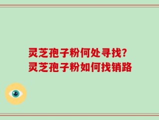 灵芝孢子粉何处寻找？灵芝孢子粉如何找销路