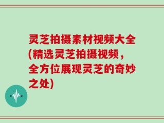 灵芝拍摄素材视频大全(精选灵芝拍摄视频，全方位展现灵芝的奇妙之处)