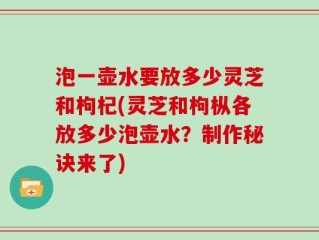 泡一壶水要放多少灵芝和枸杞(灵芝和枸枞各放多少泡壶水？制作秘诀来了)