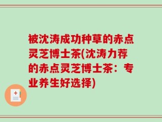 被沈涛成功种草的赤点灵芝博士茶(沈涛力荐的赤点灵芝博士茶：专业养生好选择)