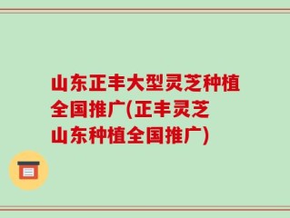 山东正丰大型灵芝种植全国推广(正丰灵芝 山东种植全国推广)