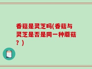香菇是灵芝吗(香菇与灵芝是否是同一种蘑菇？)