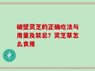 破壁灵芝的正确吃法与用量及禁忌？灵芝草怎么食用