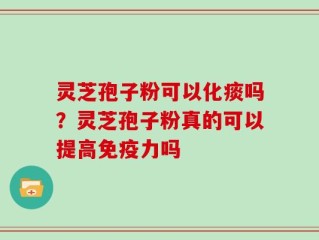 灵芝孢子粉可以化痰吗？灵芝孢子粉真的可以提高免疫力吗