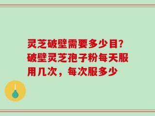 灵芝破壁需要多少目？破壁灵芝孢子粉每天服用几次，每次服多少
