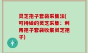 灵芝孢子套袋采集法(可持续的灵芝采集：利用孢子套袋收集灵芝孢子)