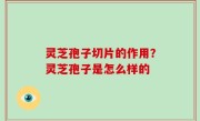 灵芝孢子切片的作用？灵芝孢子是怎么样的
