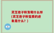 灵芝孢子粉发霉什么样(灵芝孢子粉变质的迹象是什么？)