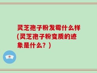 灵芝孢子粉发霉什么样(灵芝孢子粉变质的迹象是什么？)