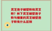 灵芝孢子破壁粉和灵芝粉？林下灵芝破壁孢子粉与棚里的灵芝破壁孢子粉有什么区别