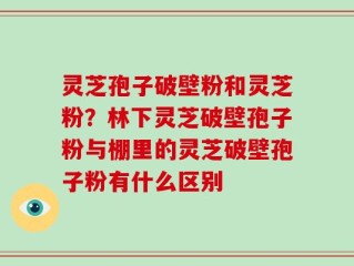 灵芝孢子破壁粉和灵芝粉？林下灵芝破壁孢子粉与棚里的灵芝破壁孢子粉有什么区别