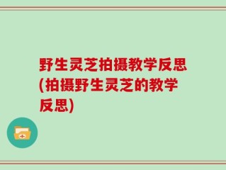 野生灵芝拍摄教学反思(拍摄野生灵芝的教学反思)