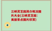 三峡灵芝园简介概况图片大全(三峡灵芝园：美丽景点图片欣赏)