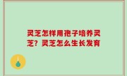 灵芝怎样用孢子培养灵芝？灵芝怎么生长发育