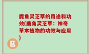 鹿角灵芝草的用途和功效(鹿角灵芝草：神奇草本植物的功效与应用)