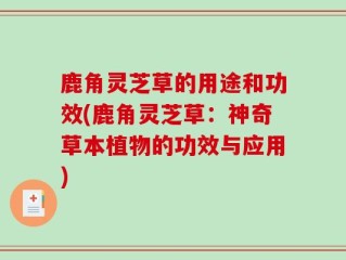 鹿角灵芝草的用途和功效(鹿角灵芝草：神奇草本植物的功效与应用)
