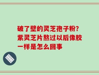 破了壁的灵芝孢子粉？紫灵芝片熬过以后像胶一样是怎么回事