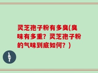 灵芝孢子粉有多臭(臭味有多重？灵芝孢子粉的气味到底如何？)