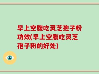 早上空腹吃灵芝孢子粉功效(早上空腹吃灵芝孢子粉的好处)