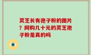 灵芝长有孢子粉的图片？网购几十元的灵芝孢子粉是真的吗