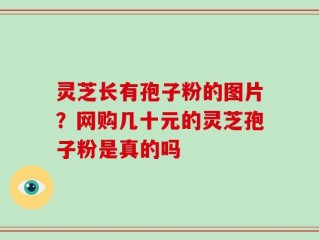 灵芝长有孢子粉的图片？网购几十元的灵芝孢子粉是真的吗