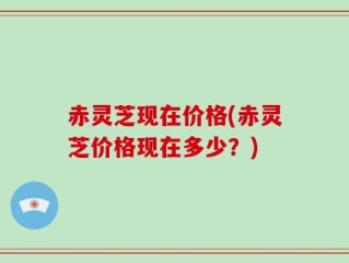 赤灵芝现在价格(赤灵芝价格现在多少？)