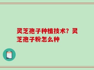 灵芝孢子种植技术？灵芝孢子粉怎么种