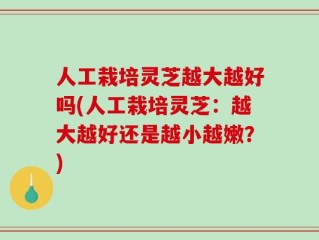 人工栽培灵芝越大越好吗(人工栽培灵芝：越大越好还是越小越嫩？)