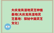 大庆龙凤湿地灵芝种植基地(大庆龙凤湿地灵芝基地：探秘中国灵芝文化)